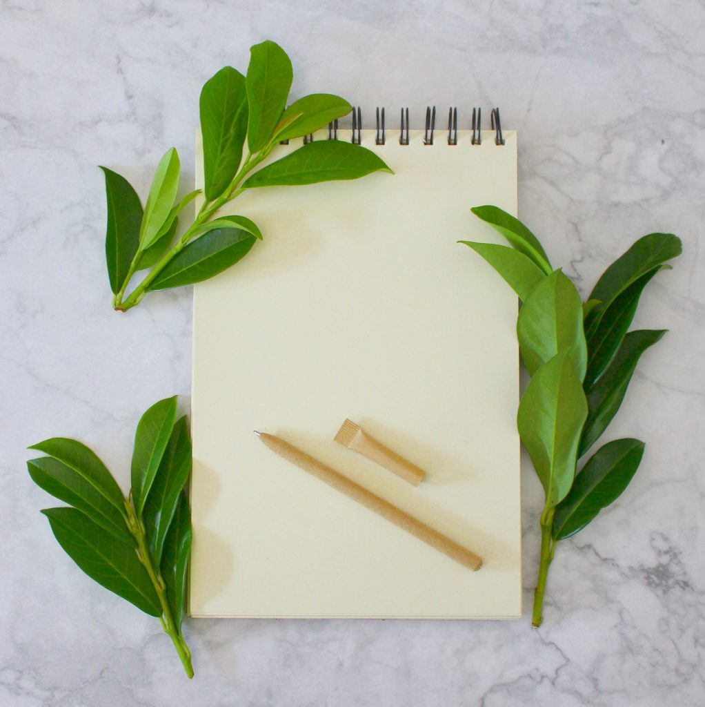 a book, notebook, registration book, nature, write, book pages, romantic, pages, paper, literature, office, school, training, to learn, journalist, side, manuscript, plant, article